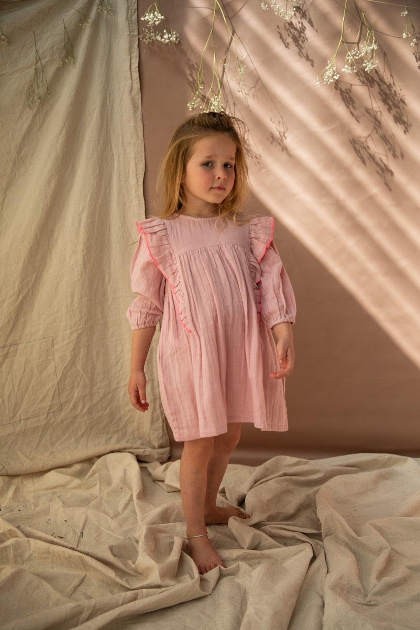 Agatha Dress-Pink Lady Apple