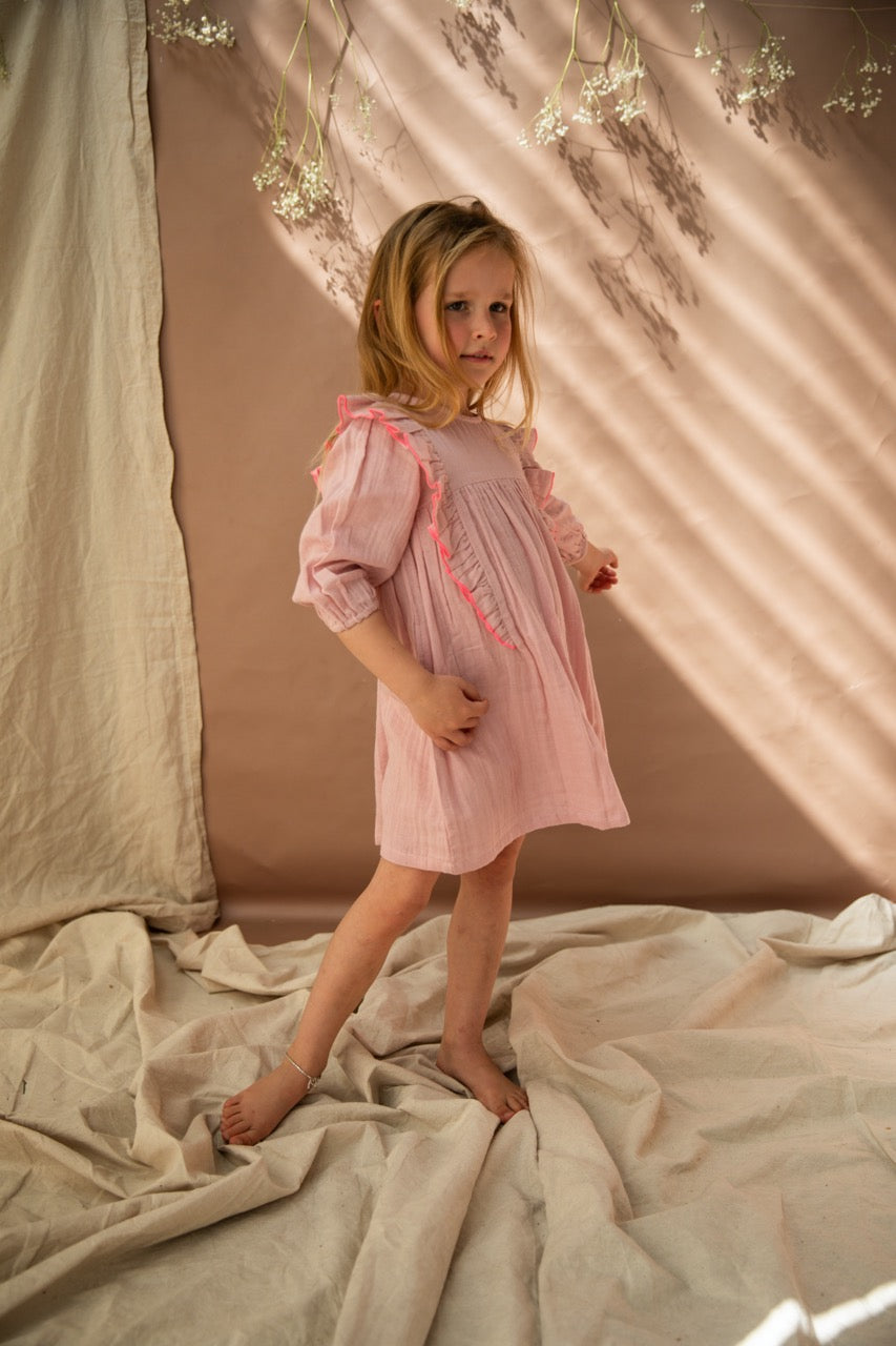 Agatha Dress-Pink Lady Apple
