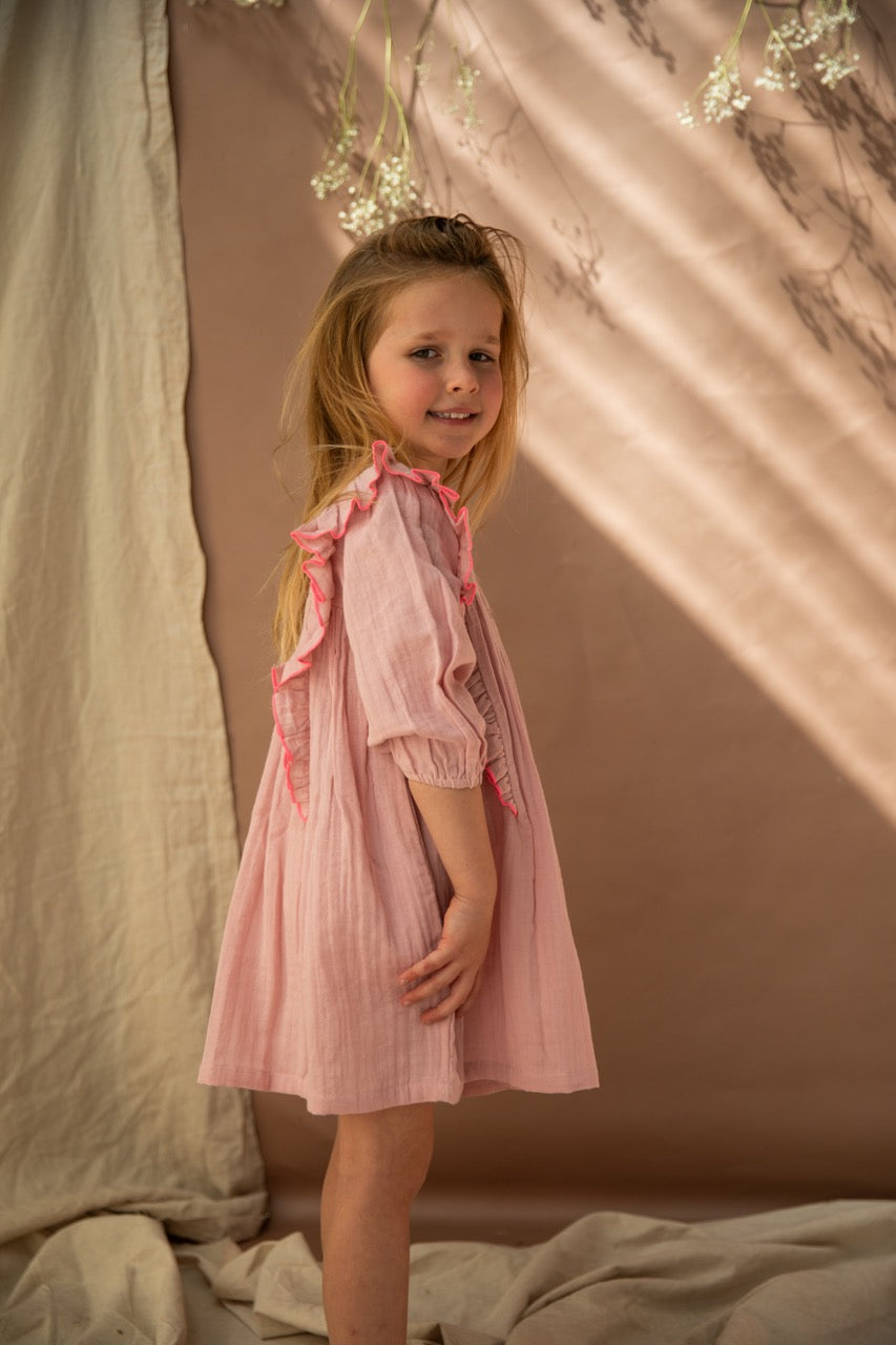 Agatha Dress-Pink Lady Apple