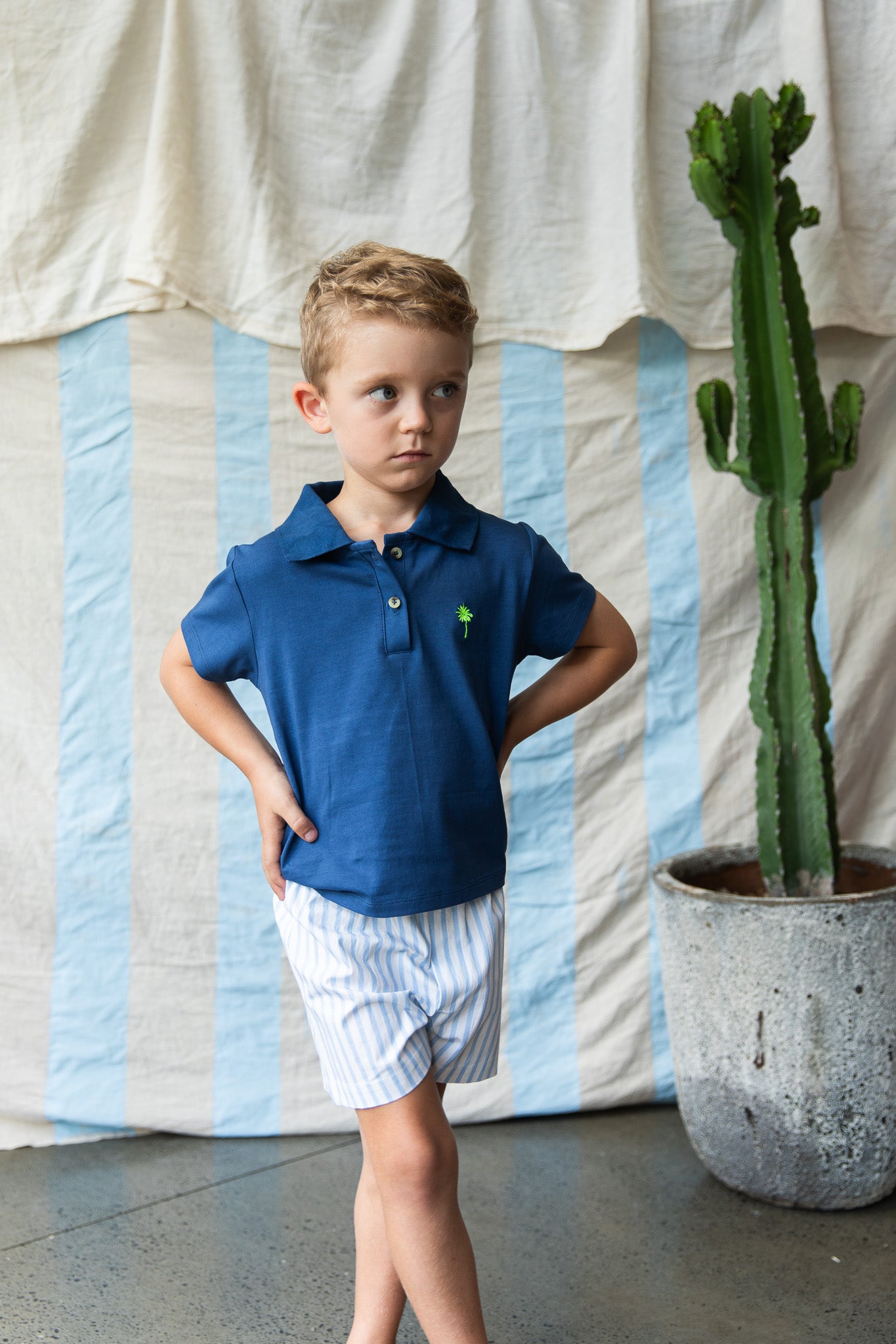 Felix Shorts-Stripe