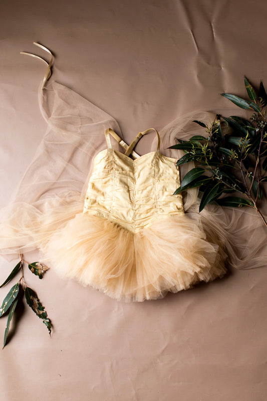 Garden Fairy - Biscuit